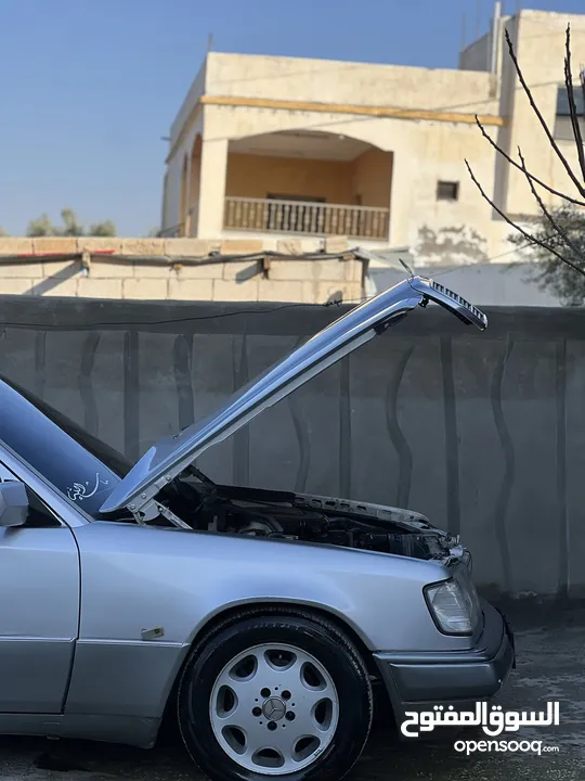 خالد المطر