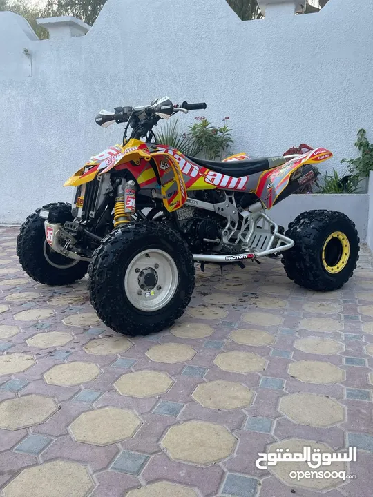 Can-am 450 ds (mx)