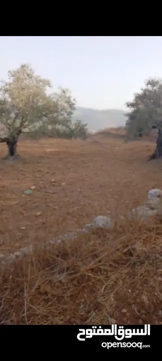 قطعة لرض للبيع