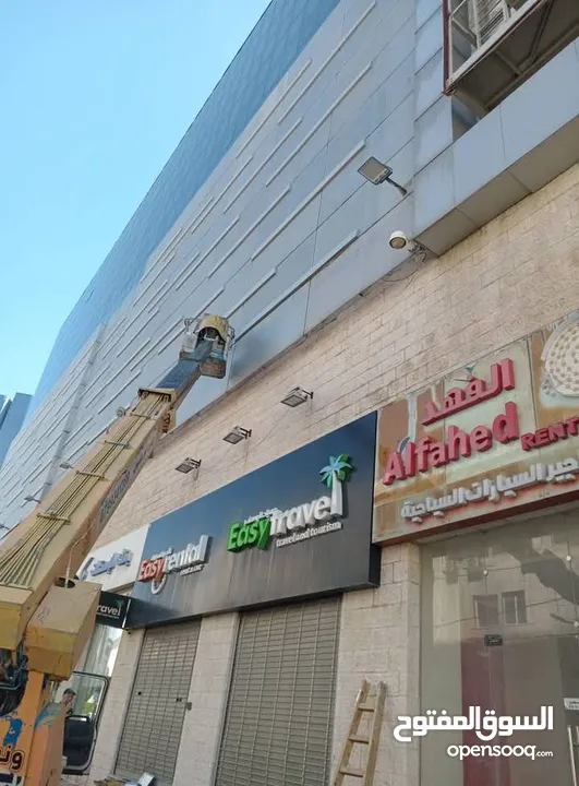 قص وتقليم اشجار النخيل