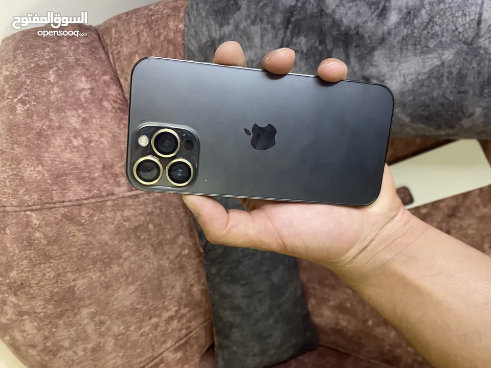 iPhone 13pro max