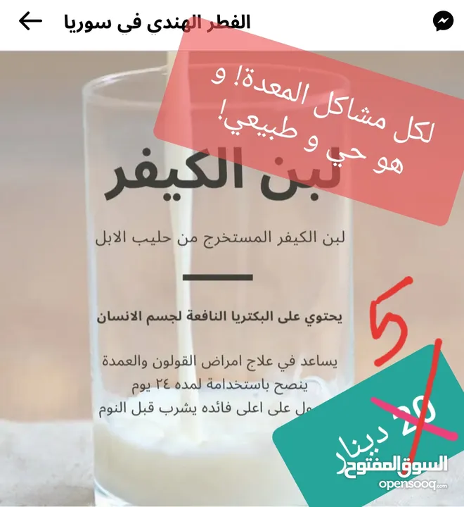 Kefir grains فطر الهندي حي و لبن الكفير بسعر مغري للبيع!