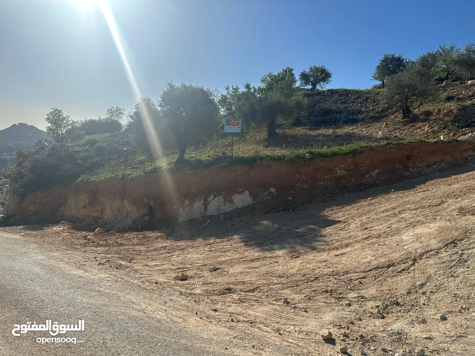 قطع سكنيه (سكن ج ) منطقه(عين جنا/ عجلون) وسط البلد،مرتفعه واطلاله جميلة على القلعة واصل جميع الخدمات