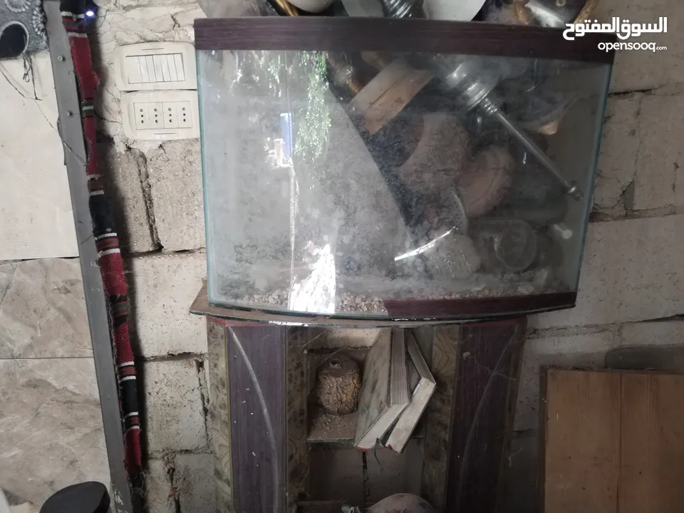 حوضين سمك مع قواعدهم