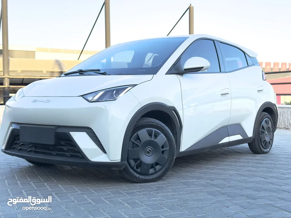 بي واي دي سيجال  ممشى قليل لون بيج