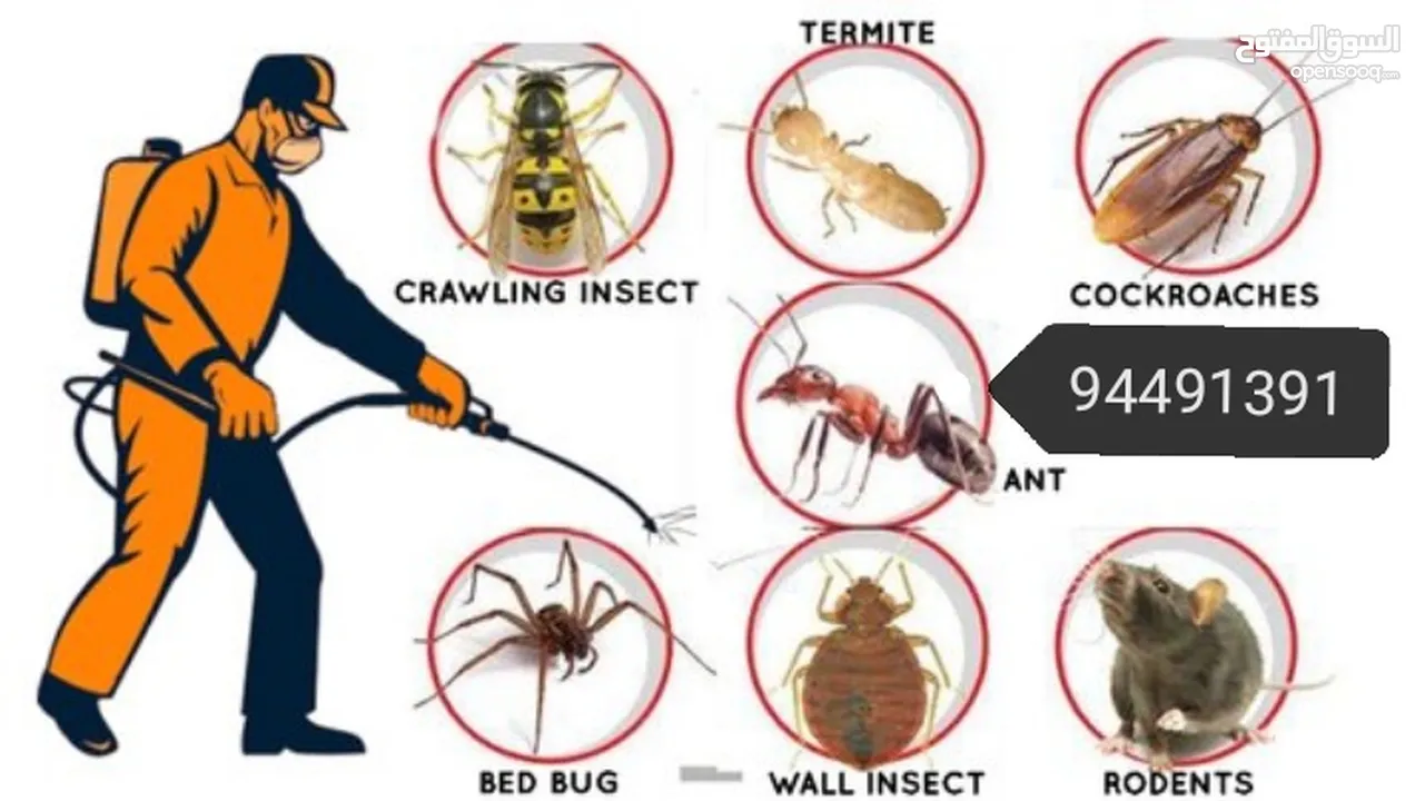 We provide you the best pest control service's We have fogging also