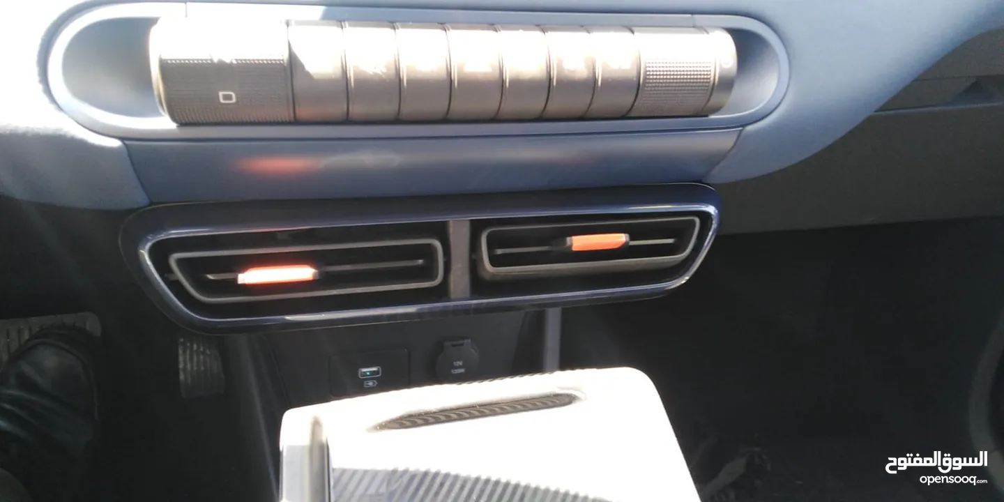 BYD SEAGULL FLYING 2024