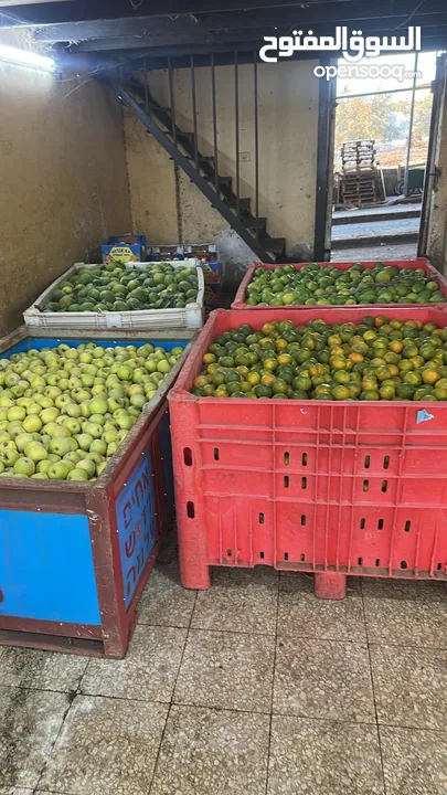 مشروع تجاري مربح