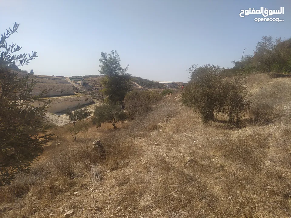 دونم ارض للبيع