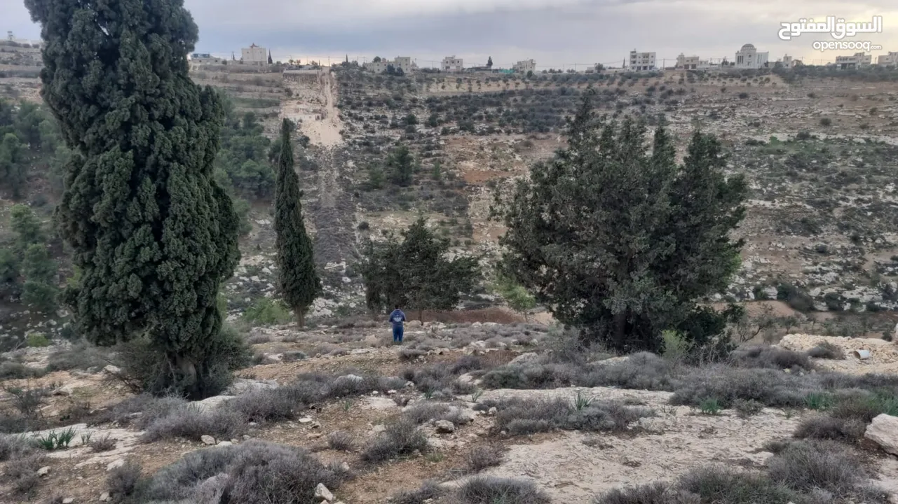 ارض للبيع في دورا ،الصره