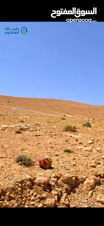 ارض مميزة على طريق جرش - الزرقاء قرب دوار السخنة اسعار تبدأ من 13.000 فقط!