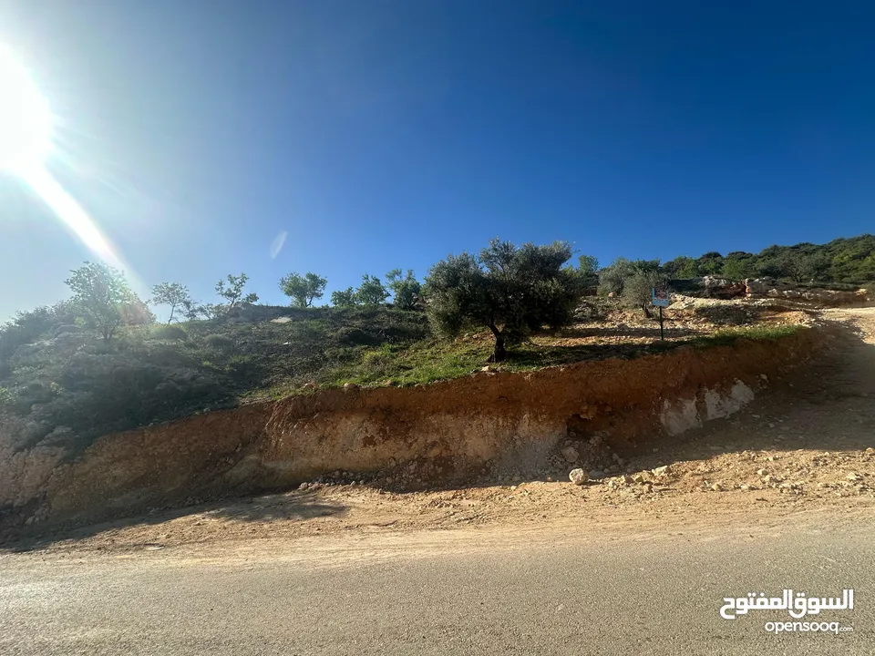 قطع سكنيه (سكن ج ) منطقه(عين جنا/ عجلون) وسط البلد،مرتفعه واطلاله جميلة على القلعة واصل جميع الخدمات