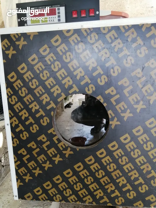 فقاسه للبيع 352 بيضه