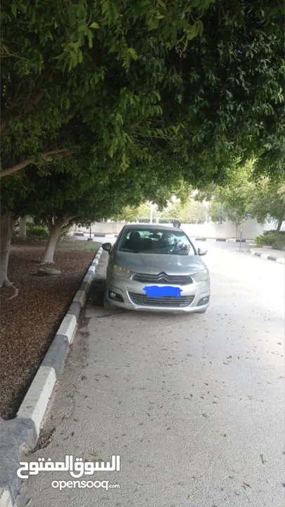 ستر وين c4 2013