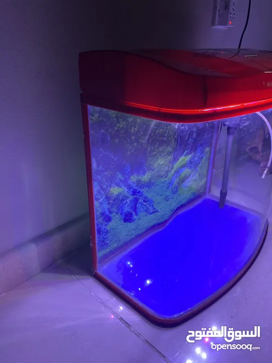 Fish tank with led light +water pump