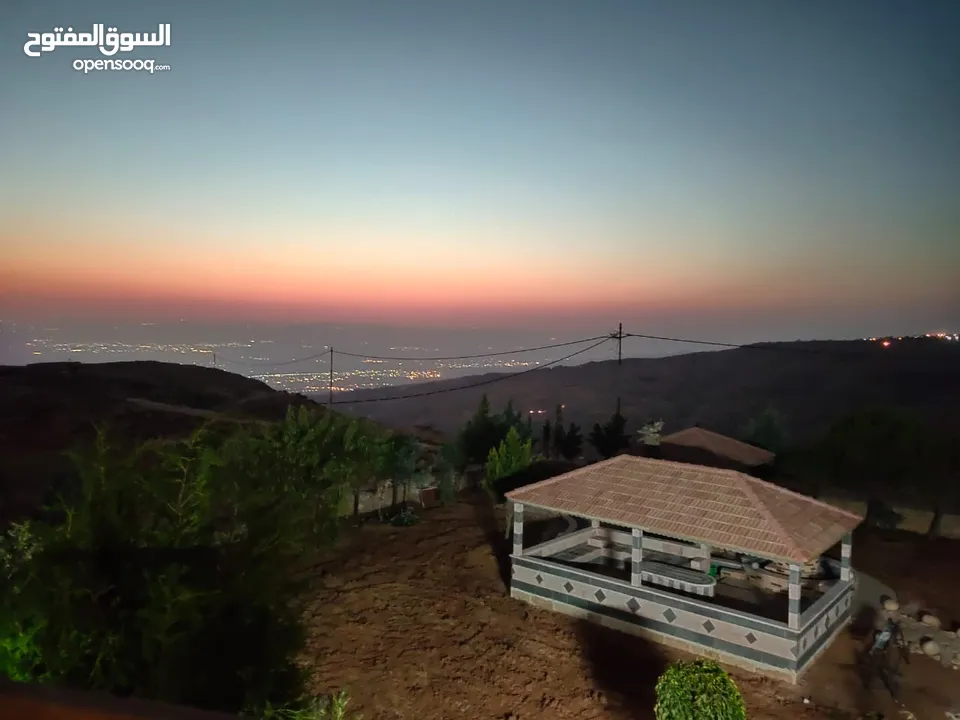 مزرعة مميزة ناعور المشقر