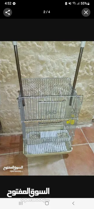 ما شاء الله  ببغاء اورنج وينج امزوني مع قفص كبير