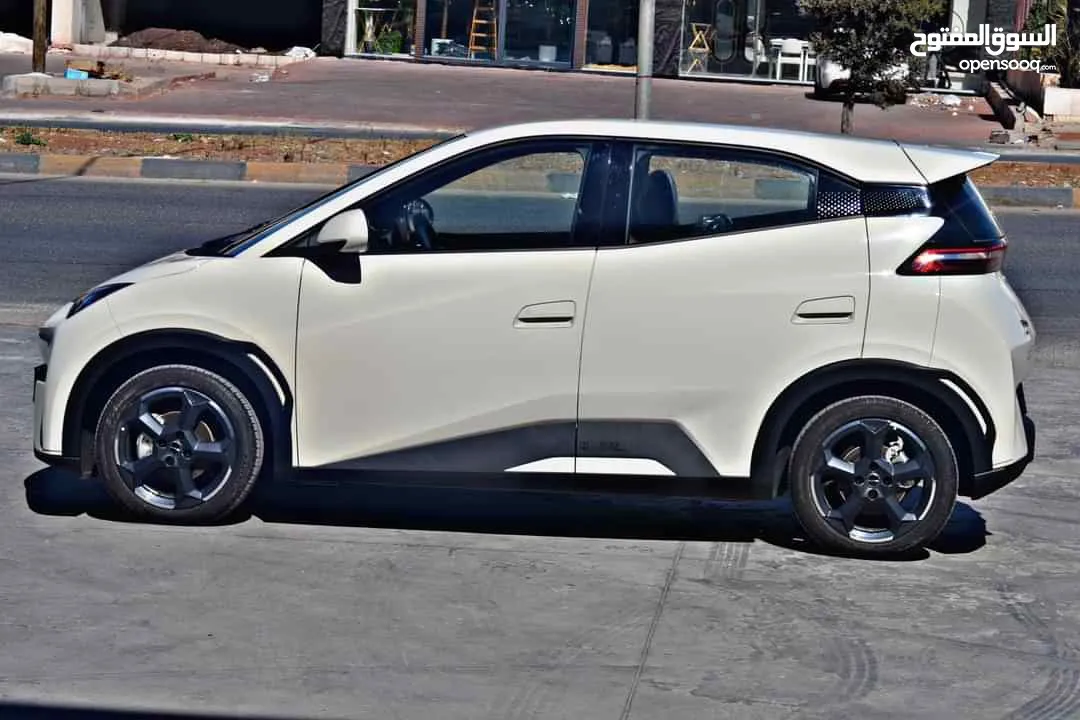 BYD SEAGULL FLYING 2024