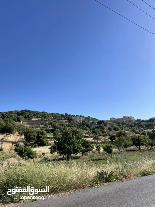 ارض للبيع في الأردن - عجلون