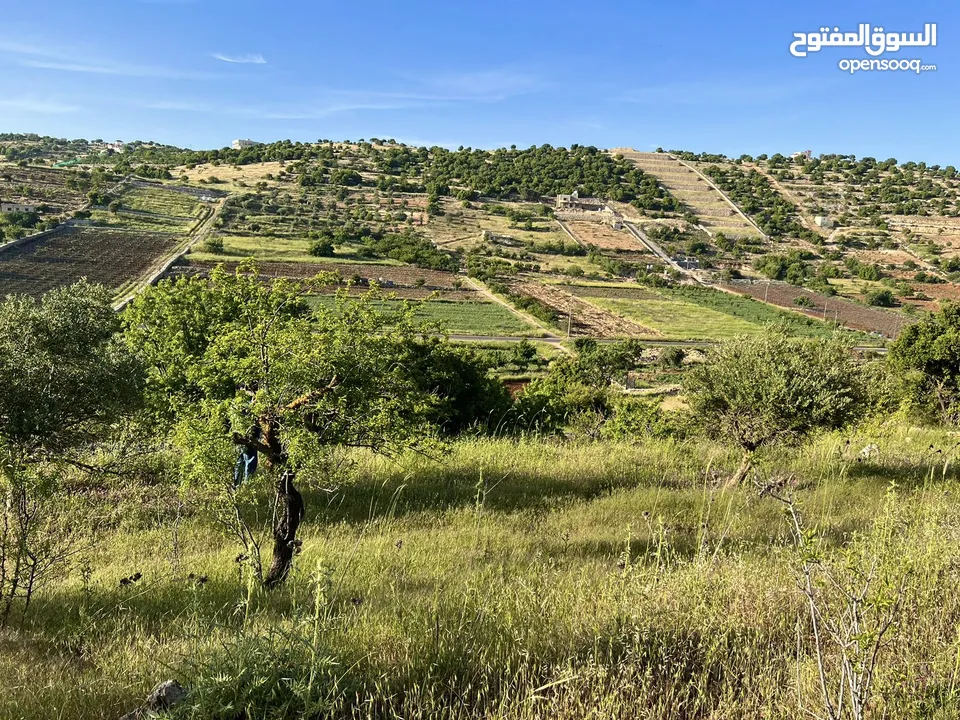 ارض للبيع في الاردن مكان مميز