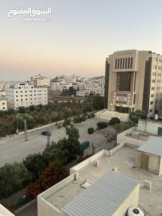فرصة العمر للإستثمار المضمون