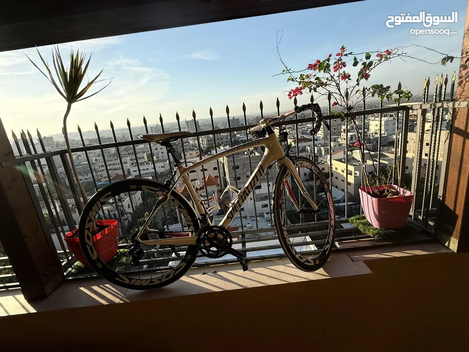 دراجة هوائية Specialized Roubaix Elite.