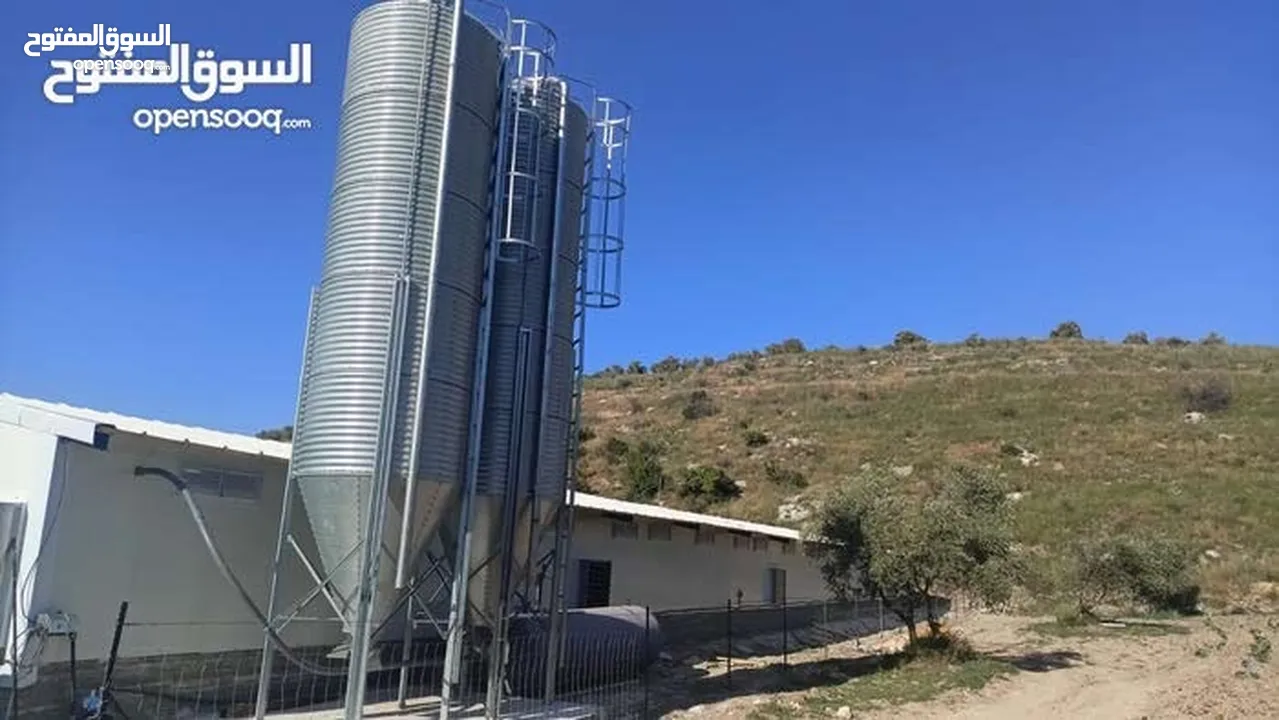 تجهيز وبناء مزارع الدواجن المغلقة