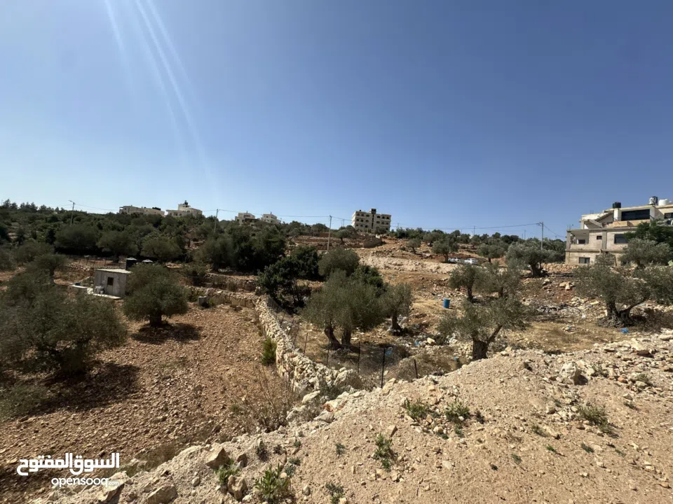 قطعة ارض نص دونم 500متر منطقة A للبيع جفنا-زعبوب