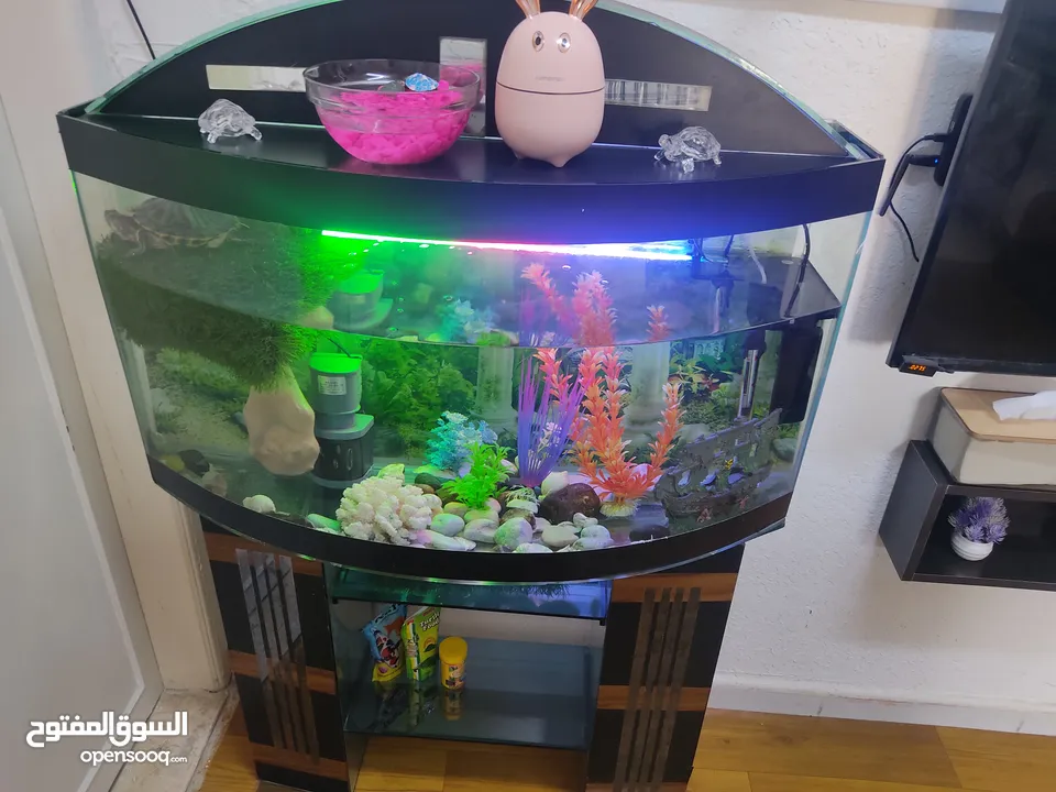 حوض سمك متر مع قاعدة زجاج جاهز بالكامل