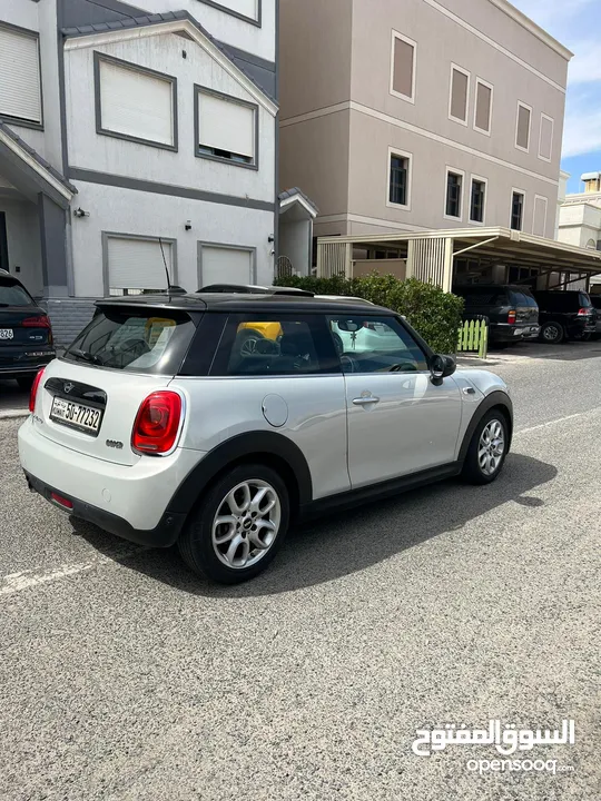 MINI- 2019