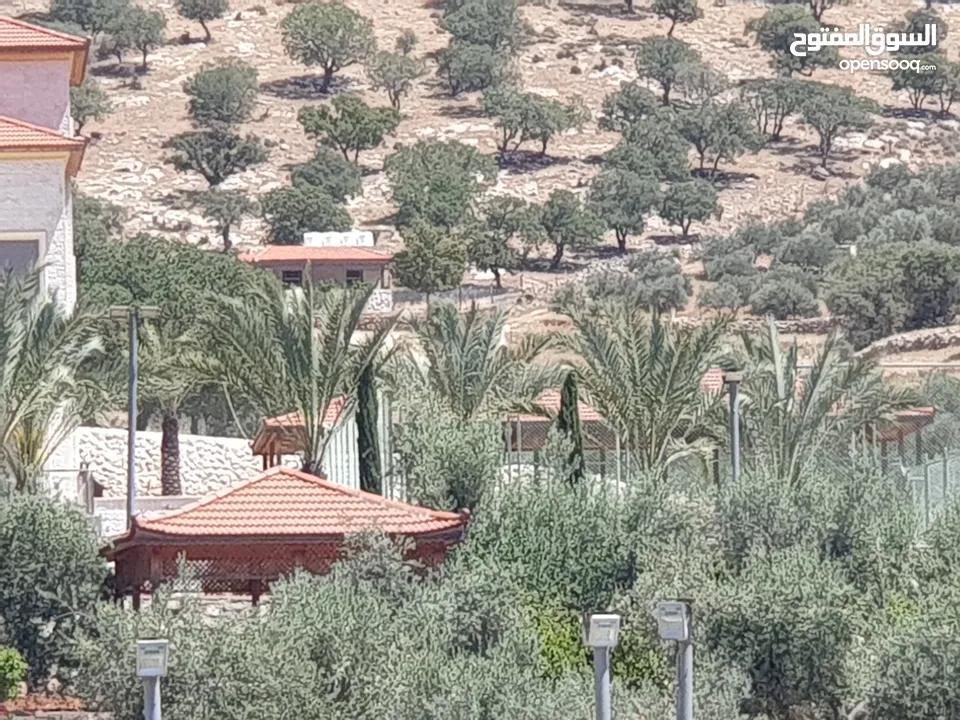 ارض زراعية على شارعين في صروت الصوان قرب الفلل و منتزه الامير هاشم قرب بيرين و شفا بدران بسعر مغري