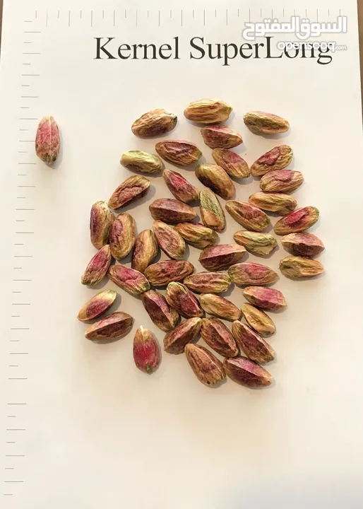 Pistachio trading house to sell the best quality