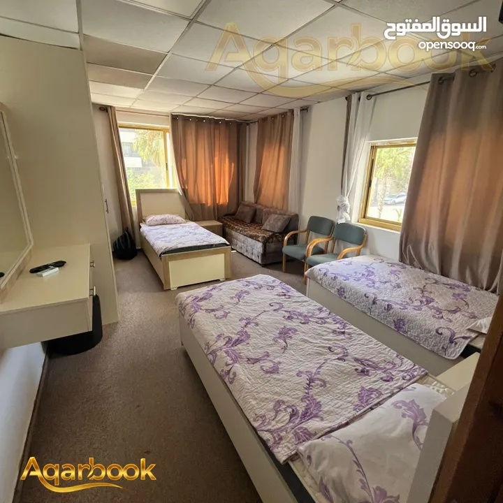 استوديو مفروش في  الماصيون