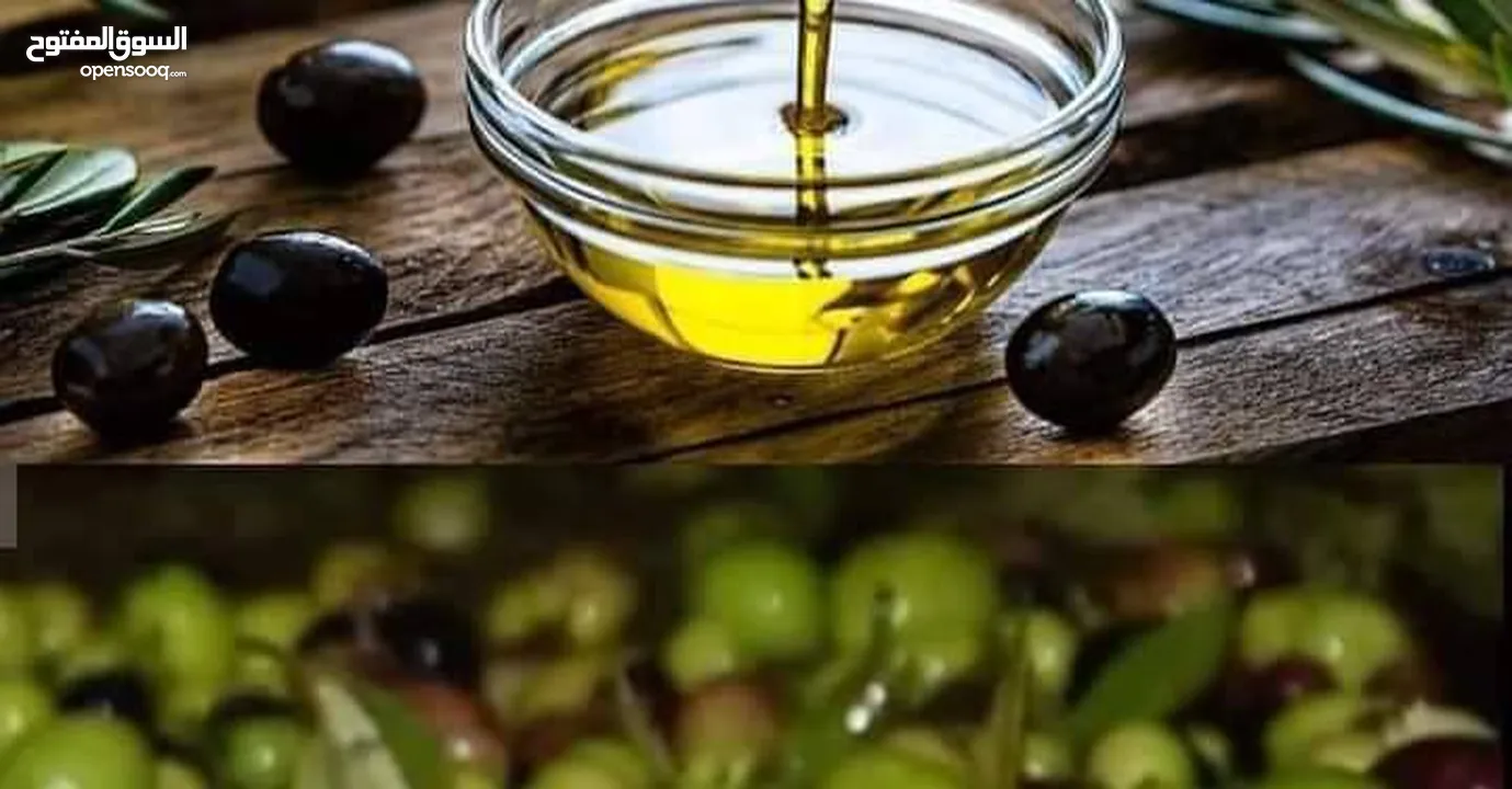 مطلوب زيت زيتون