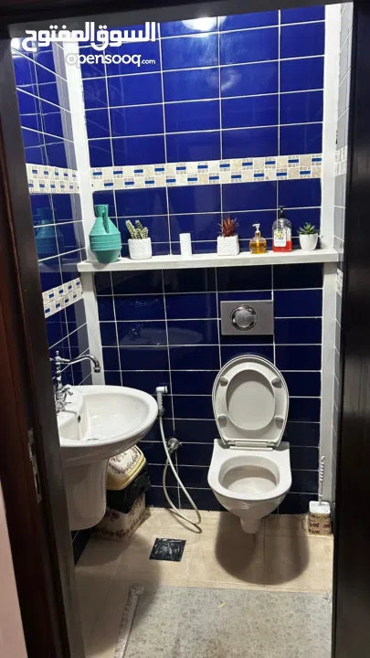 شقة مفروشة للايجار