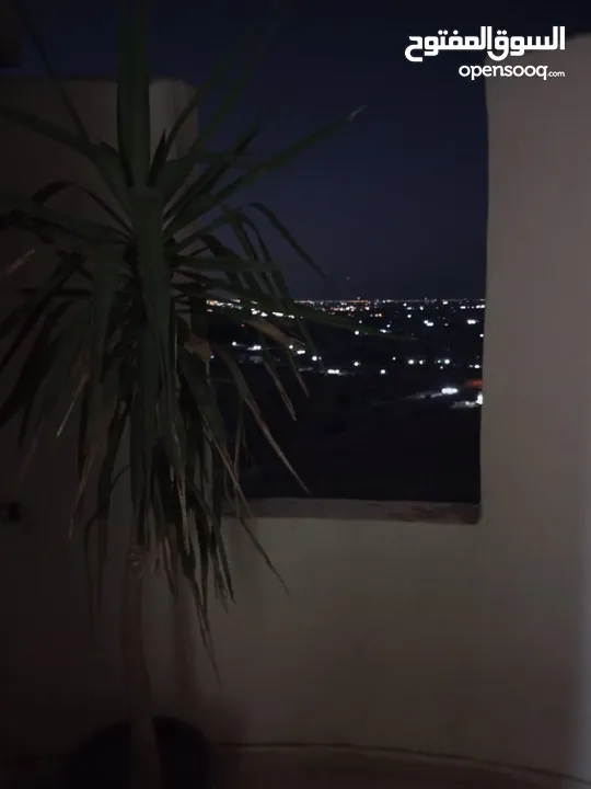 مزرعه للبيع