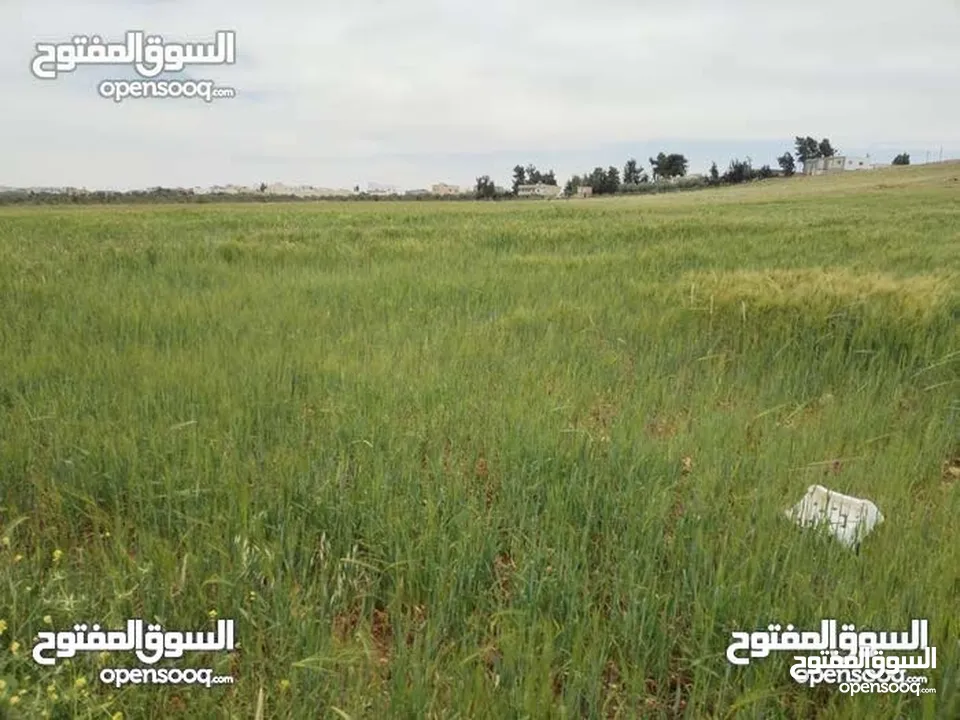 3500 م للبيع  واصل جميع الخدمات ارض مستويه مثل الكف وتربه حمراء
