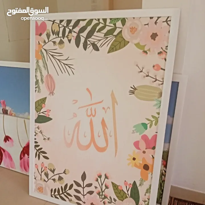 مجموعه صور احجام مختلفه