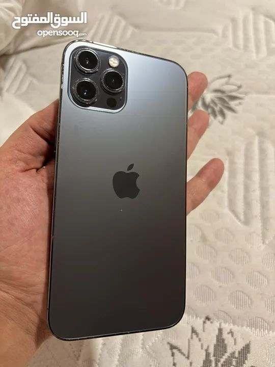 12 pro max