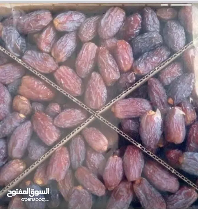 تمر مجهول  جميع الاصناف نخب
