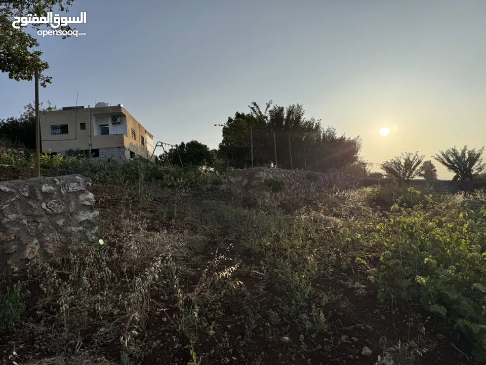 مزرعه للبيع / عجلون / رأس منيف
