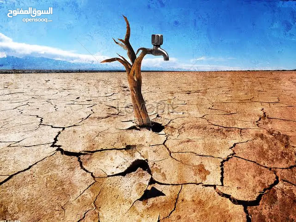 ابو يوسف سلامة