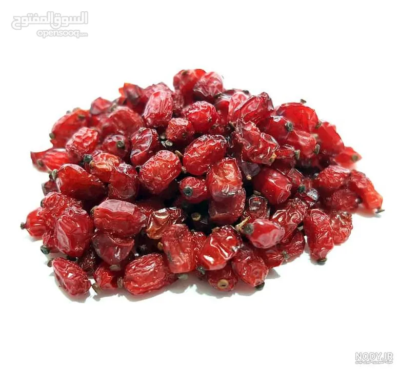 Premium puffy barberry with the highest quality