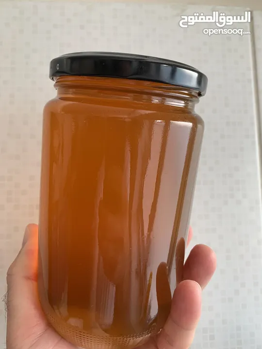 عسل بلدي اصلي ( زهور وربيع الأردن )