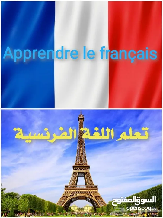 معلمة لغة فرنسية French Teacher