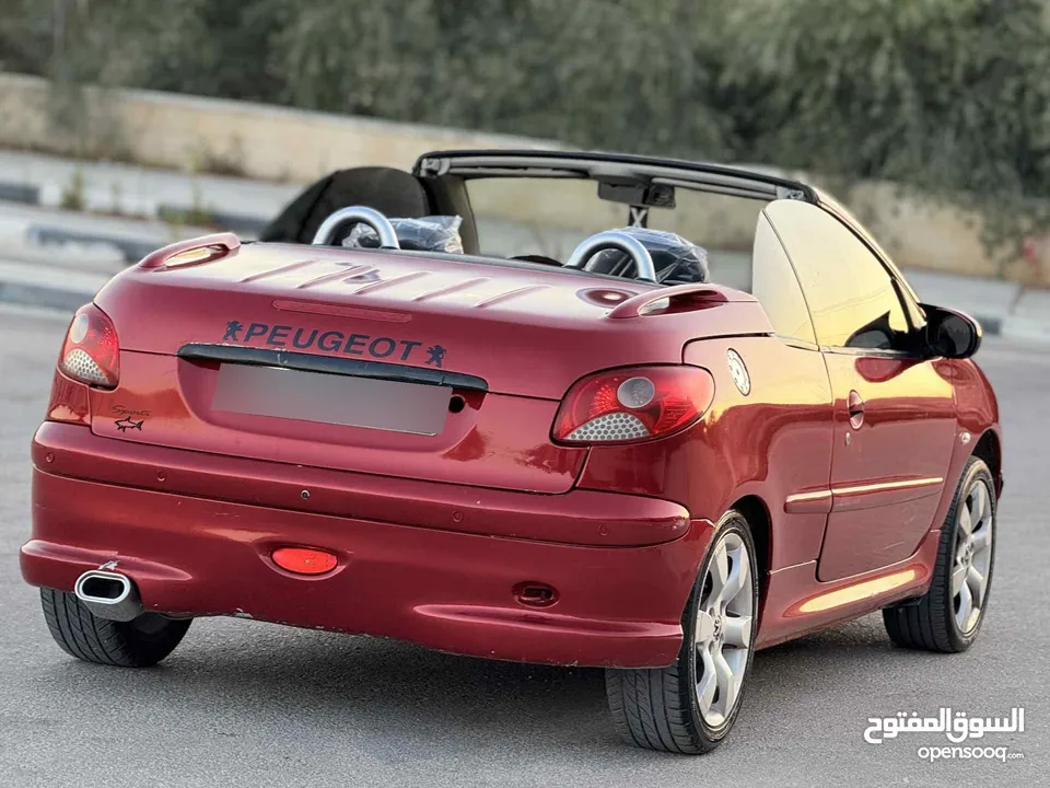 بيجو 206 2007 كشف