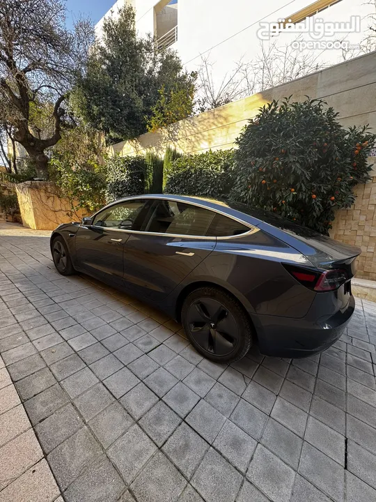 Tesla model 3 2020 standard plus  Autoscore B تيسلا موديل 3 (2020) ستاندرد بلس فحص كامل