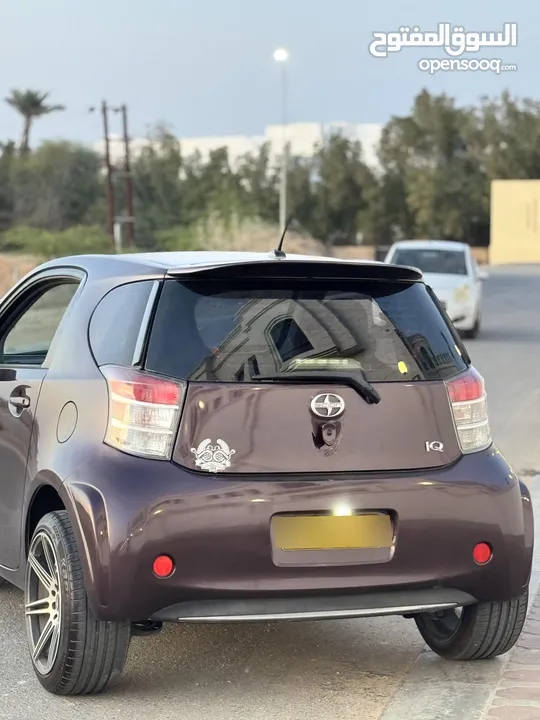 سيون IQ 2014