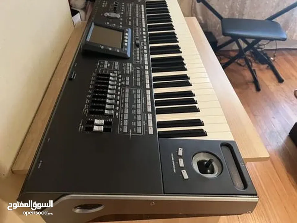 Korg pa3x عادي
