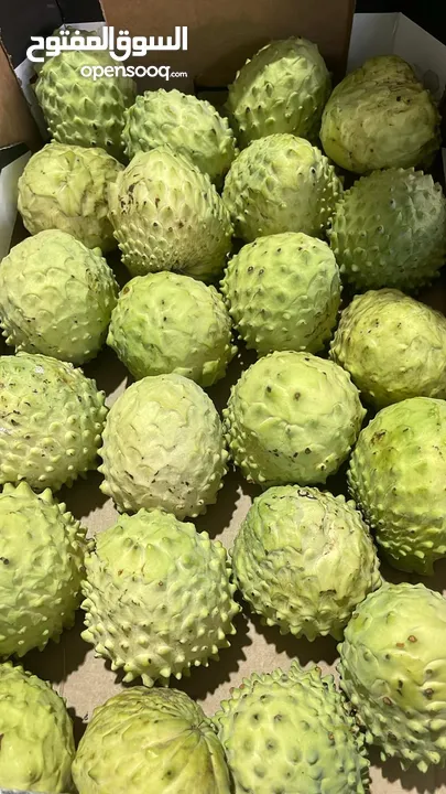 مشروع تجاري مربح بحاجه لتمويل